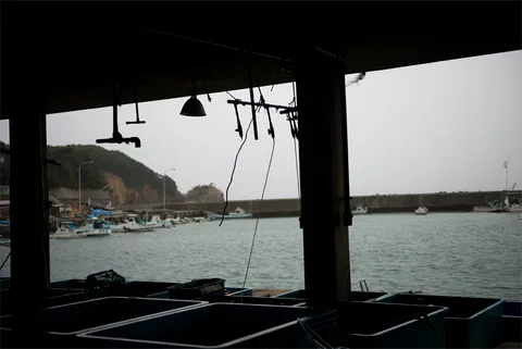 2013-03-20