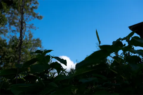 2013-08-08