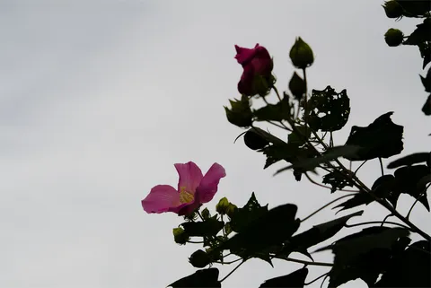 2013-10-05
