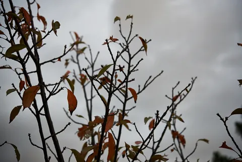 2013-10-31
