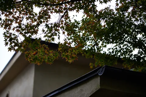 2013-11-03
