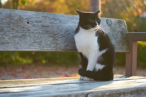 2013-12-02