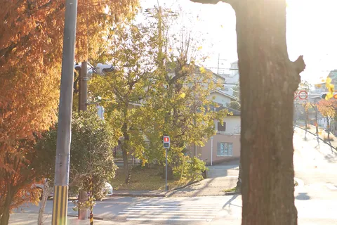 2013-12-04
