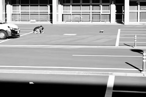 2014-01-10