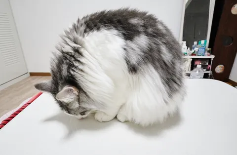 2015-12-02