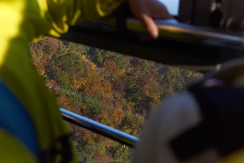 2016-11-12