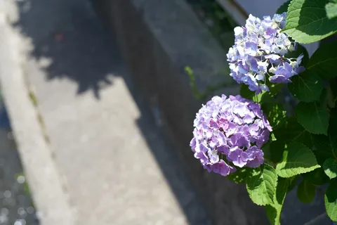 2018-06-03