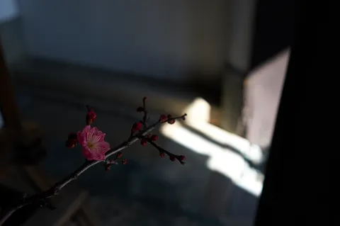 2019-03-04