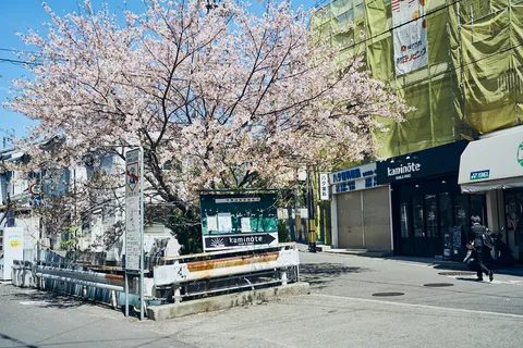 2019-04-24