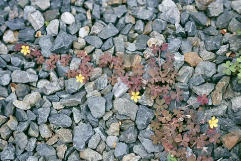 2020-05-10